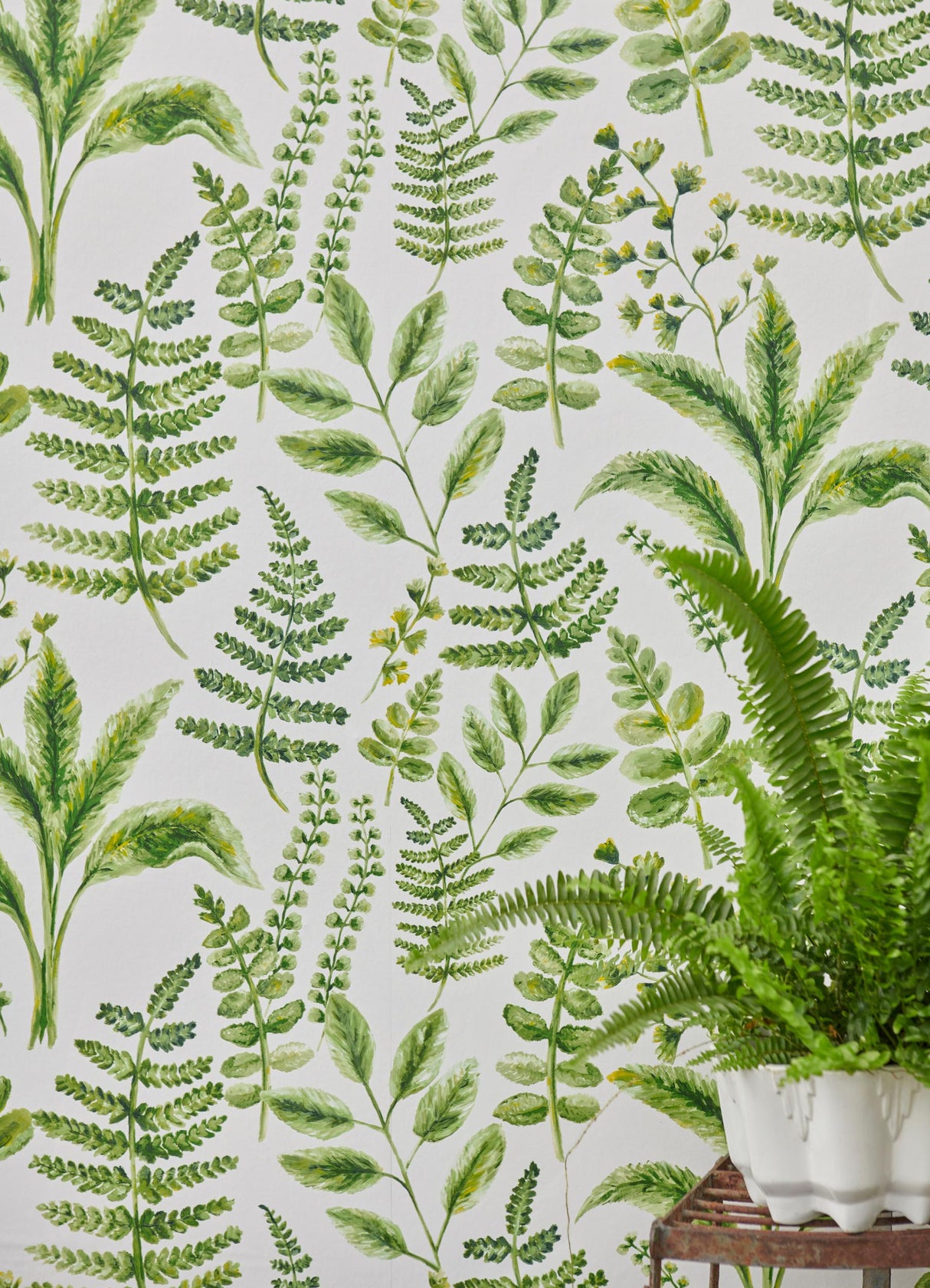 Clarke & Clarke BRACKEN FOREST WP Wallpaper