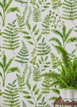Clarke & Clarke BRACKEN FOREST WP Wallpaper
