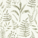 Clarke & Clarke BRACKEN NATURAL WP Wallpaper