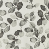 Clarke & Clarke NORTHIA CHARCOAL WP Wallpaper