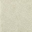 Clarke & Clarke CORALLINO IVORY WP Wallpaper