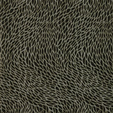 Clarke & Clarke CORALLINO NOIR WP Wallpaper