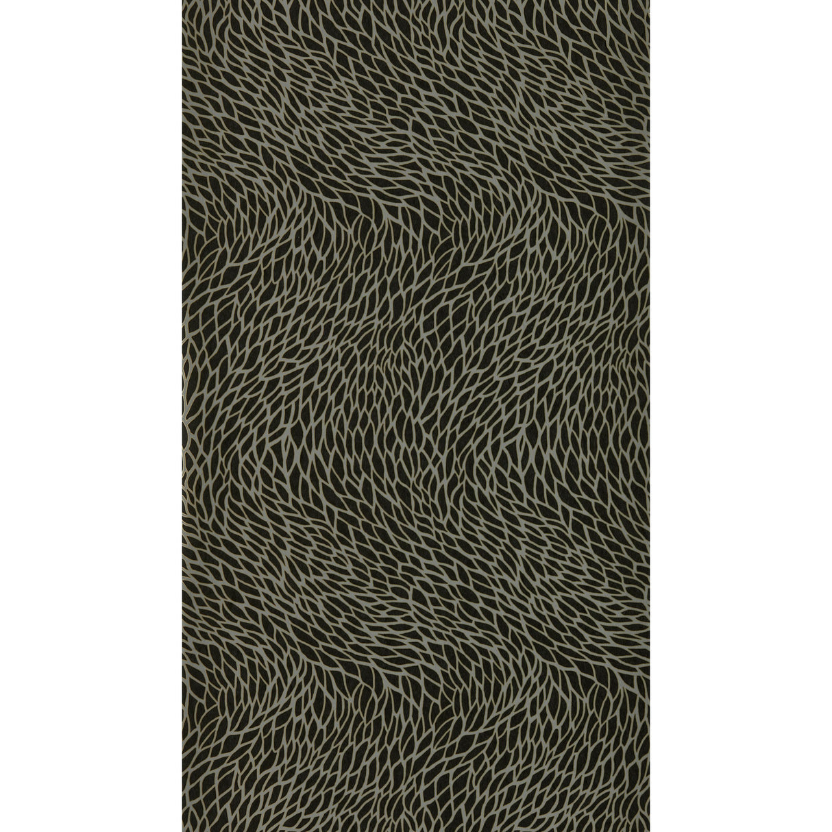 Clarke & Clarke CORALLINO NOIR WP Wallpaper