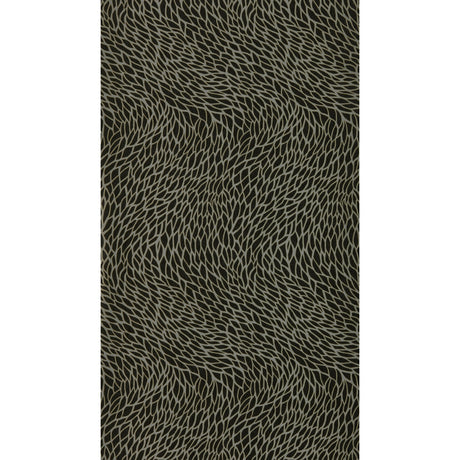 Clarke & Clarke CORALLINO NOIR WP Wallpaper