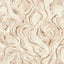 Clarke & Clarke LAVICO BLUSH WP Wallpaper