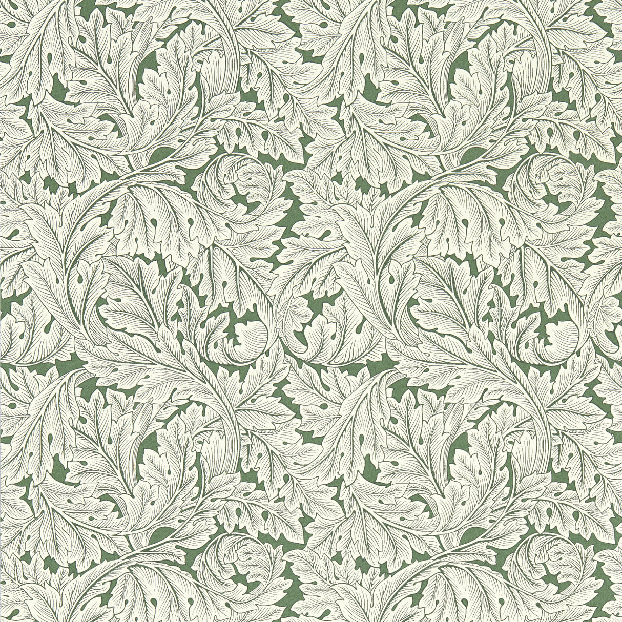 Clarke & Clarke ACANTHUS WP SAGE Wallpaper