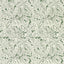 Clarke & Clarke ACANTHUS WP SAGE Wallpaper