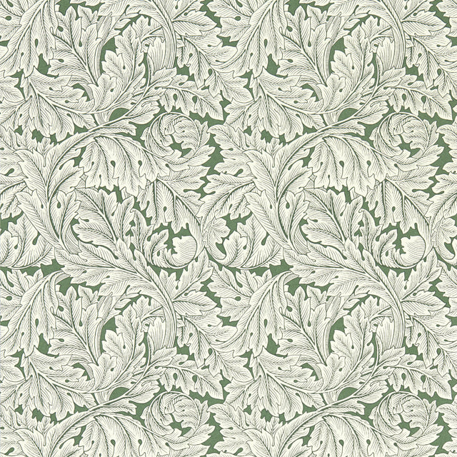 Clarke & Clarke ACANTHUS WP SAGE Wallpaper