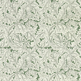 Clarke & Clarke ACANTHUS WP SAGE Wallpaper