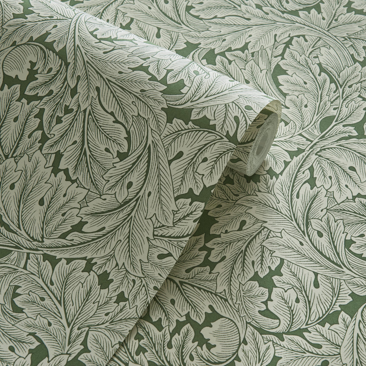 Clarke & Clarke ACANTHUS WP SAGE Wallpaper