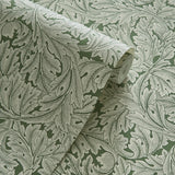 Clarke & Clarke ACANTHUS WP SAGE Wallpaper