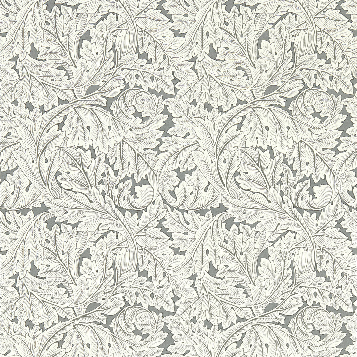 Clarke & Clarke ACANTHUS WP SLATE Wallpaper