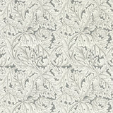 Clarke & Clarke ACANTHUS WP SLATE Wallpaper