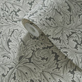 Clarke & Clarke ACANTHUS WP SLATE Wallpaper