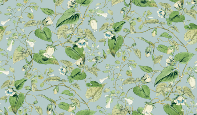 Kravet DESIGN W4132 153 Wallpaper