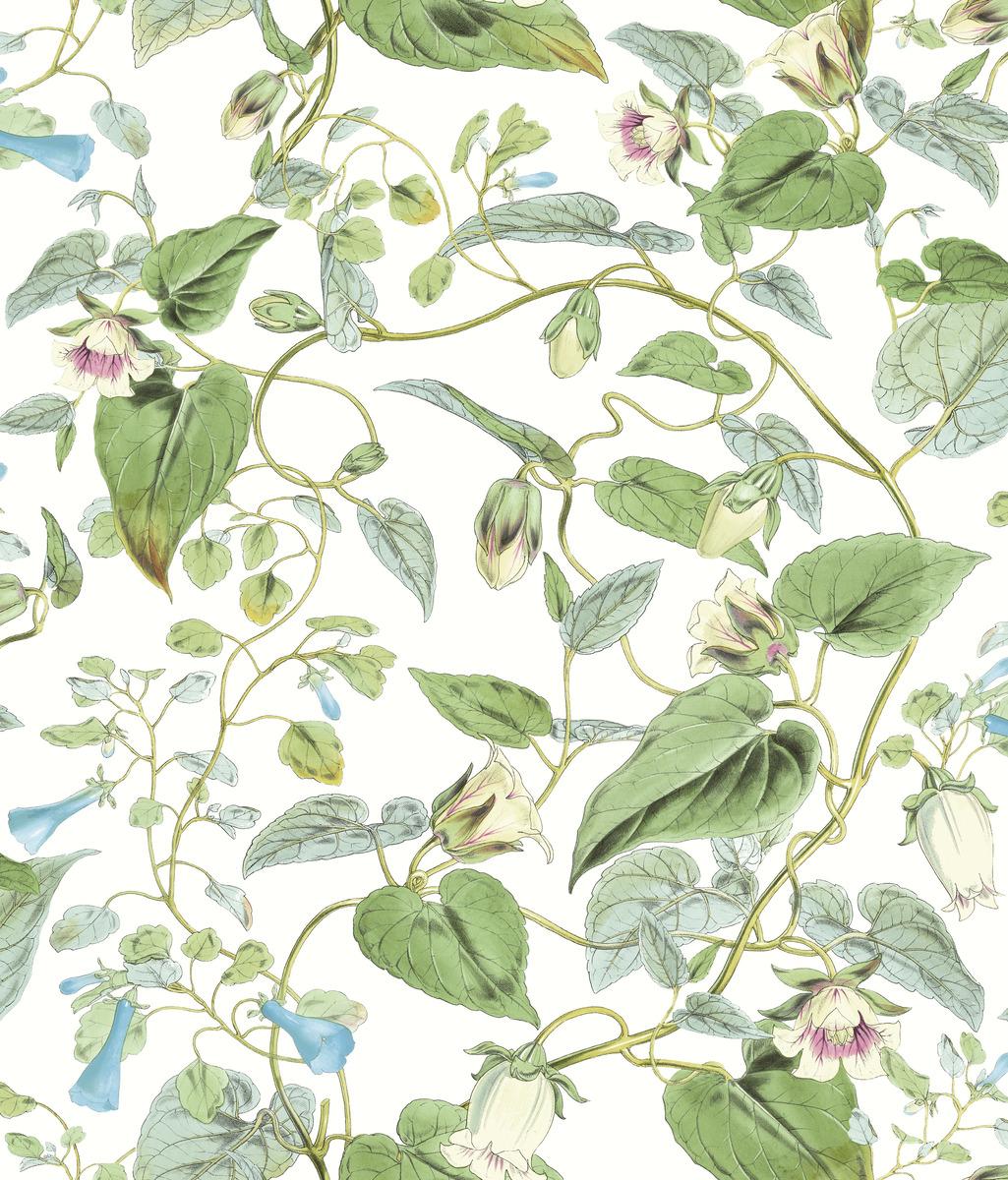 Kravet DESIGN W4132 31 Wallpaper