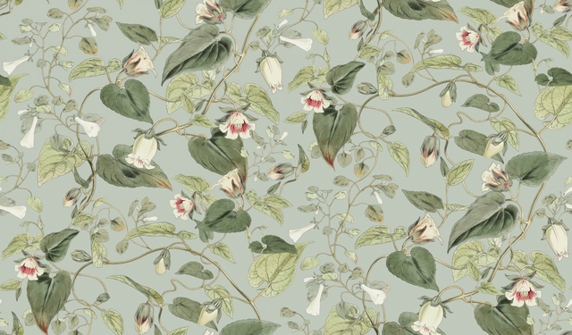 Kravet DESIGN W4132 311 Wallpaper