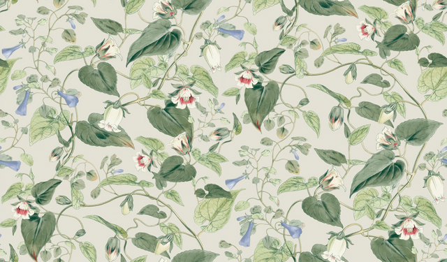 Kravet DESIGN W4132 315 Wallpaper