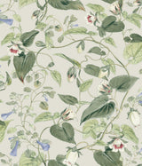 Kravet DESIGN W4132 315 Wallpaper