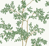 Kravet DESIGN W4141 3 Wallpaper