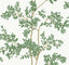 Kravet DESIGN W4141 3 Wallpaper
