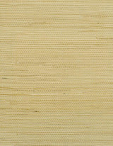 Winfield Thybony MONTEGO VANILLA Wallpaper