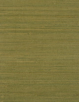 Winfield Thybony MONTEGO MOSS Wallpaper