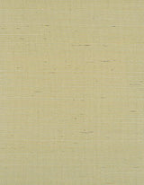 Winfield Thybony BERMUDA VANILLA Wallpaper
