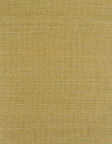 Winfield Thybony BERMUDA SAND Wallpaper