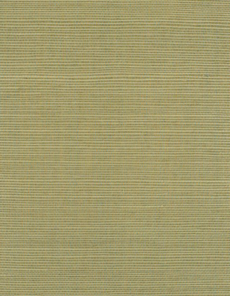 Winfield Thybony BERMUDA CELADON Wallpaper