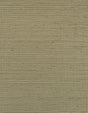 Winfield Thybony BERMUDA SILVER HAZE Wallpaper