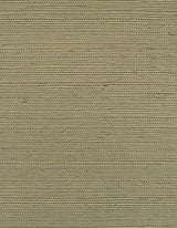 Winfield Thybony BERMUDA SILVER HAZE Wallpaper