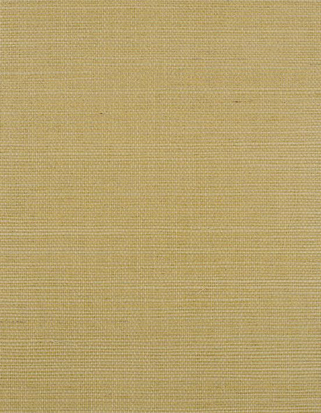 Winfield Thybony BERMUDA CITRINE Wallpaper