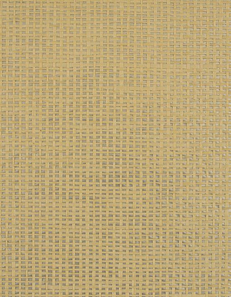 Winfield Thybony PLAYA STRAW Wallpaper