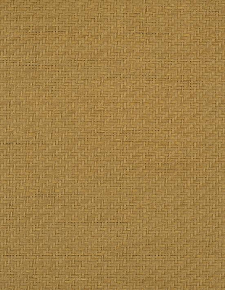 Winfield Thybony FERNWOOD CARAMEL Wallpaper