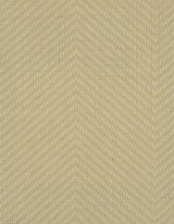 Winfield Thybony HAMILTON SHELL Wallpaper