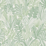 Winfield Thybony CORNISH LANE TROPICALE Wallpaper