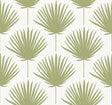 Winfield Thybony SHORE FRONT AVOCADO Wallpaper