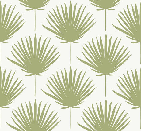 Winfield Thybony SHORE FRONT AVOCADO Wallpaper