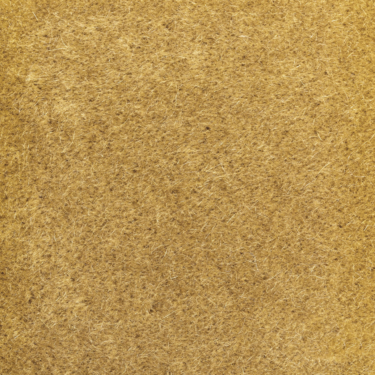 Donghia VERSA HONEY Upholstery Fabric