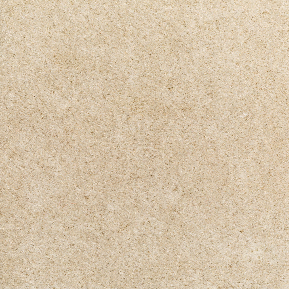 Donghia VERSA CONCH Upholstery Fabric