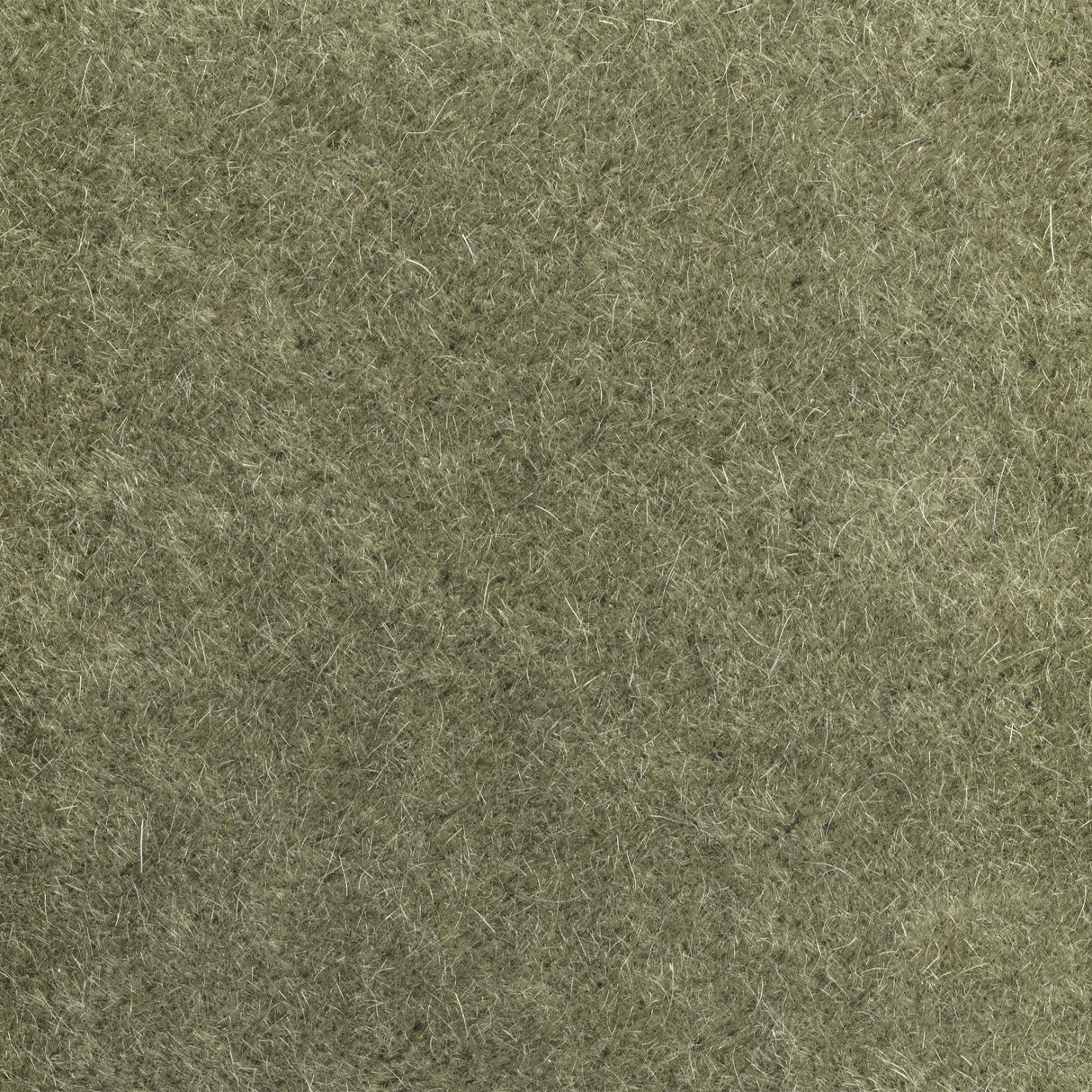 Donghia VERSA GROVE Upholstery Fabric