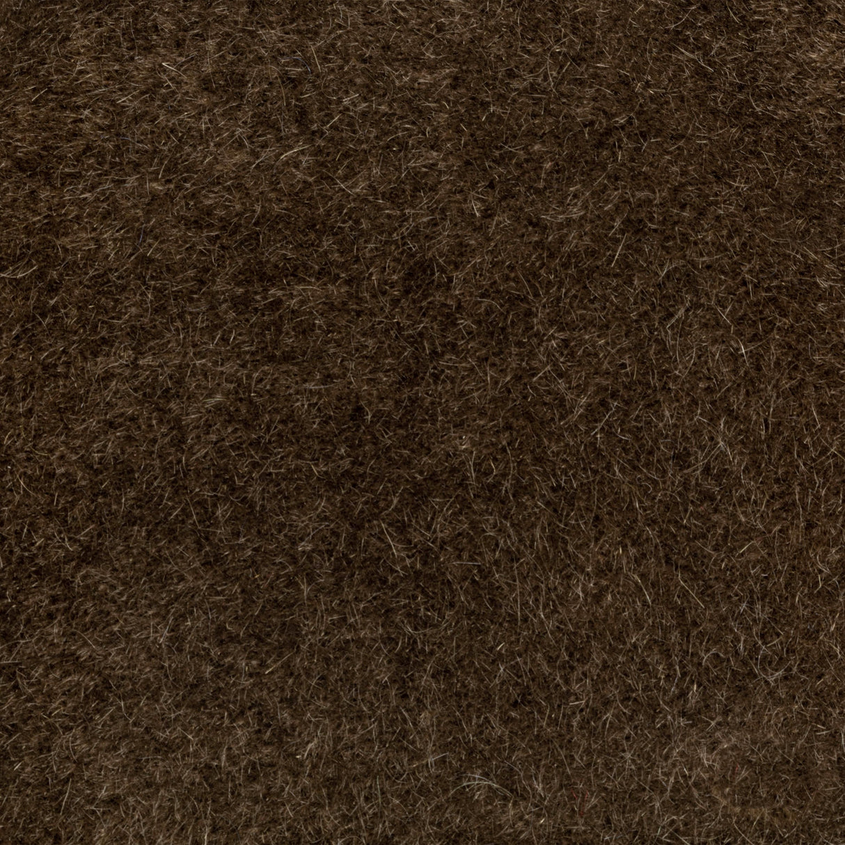 Donghia VERSA GRIZZLY Upholstery Fabric
