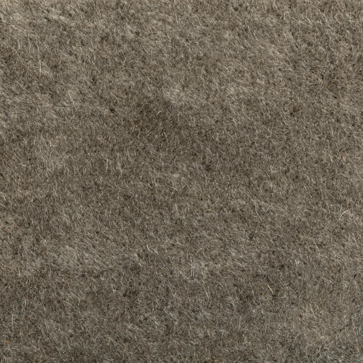 Donghia VERSA COYOTE Upholstery Fabric