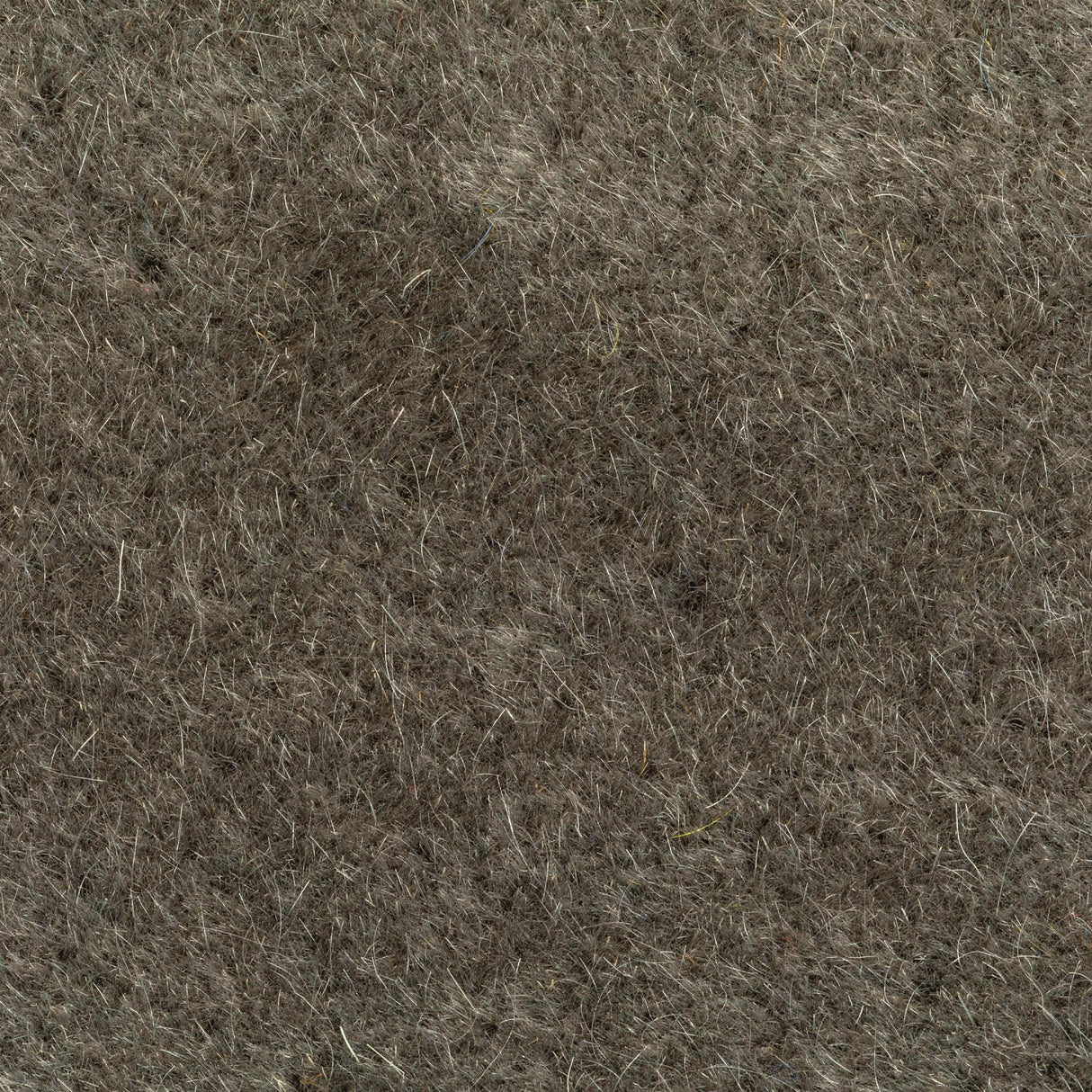 Donghia VERSA COYOTE Upholstery Fabric