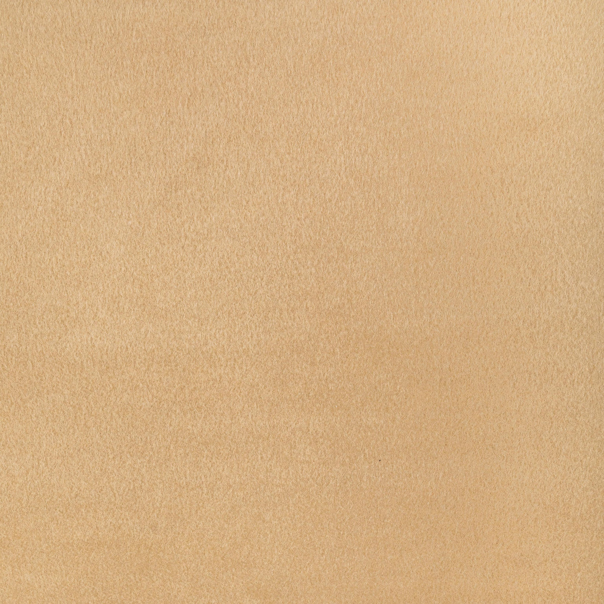 Donghia FIRST IN LINE CAMEL Upholstery Fabric