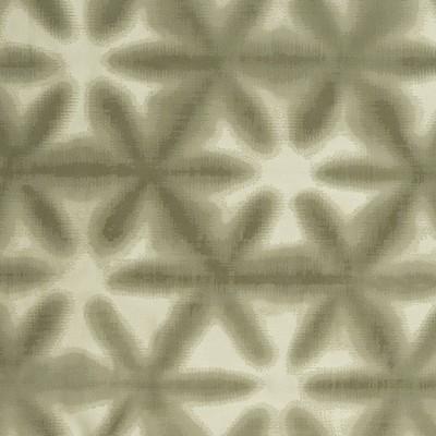 Donghia SHIBORI LIGHT GREEN Drapery Fabric