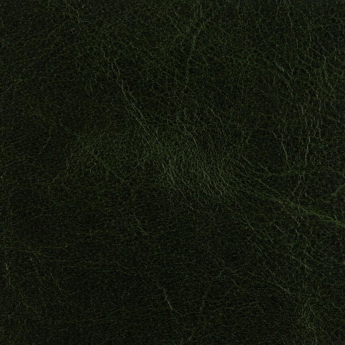 Threads CRAWFORD FOREST GREEN Upholstery Fabric