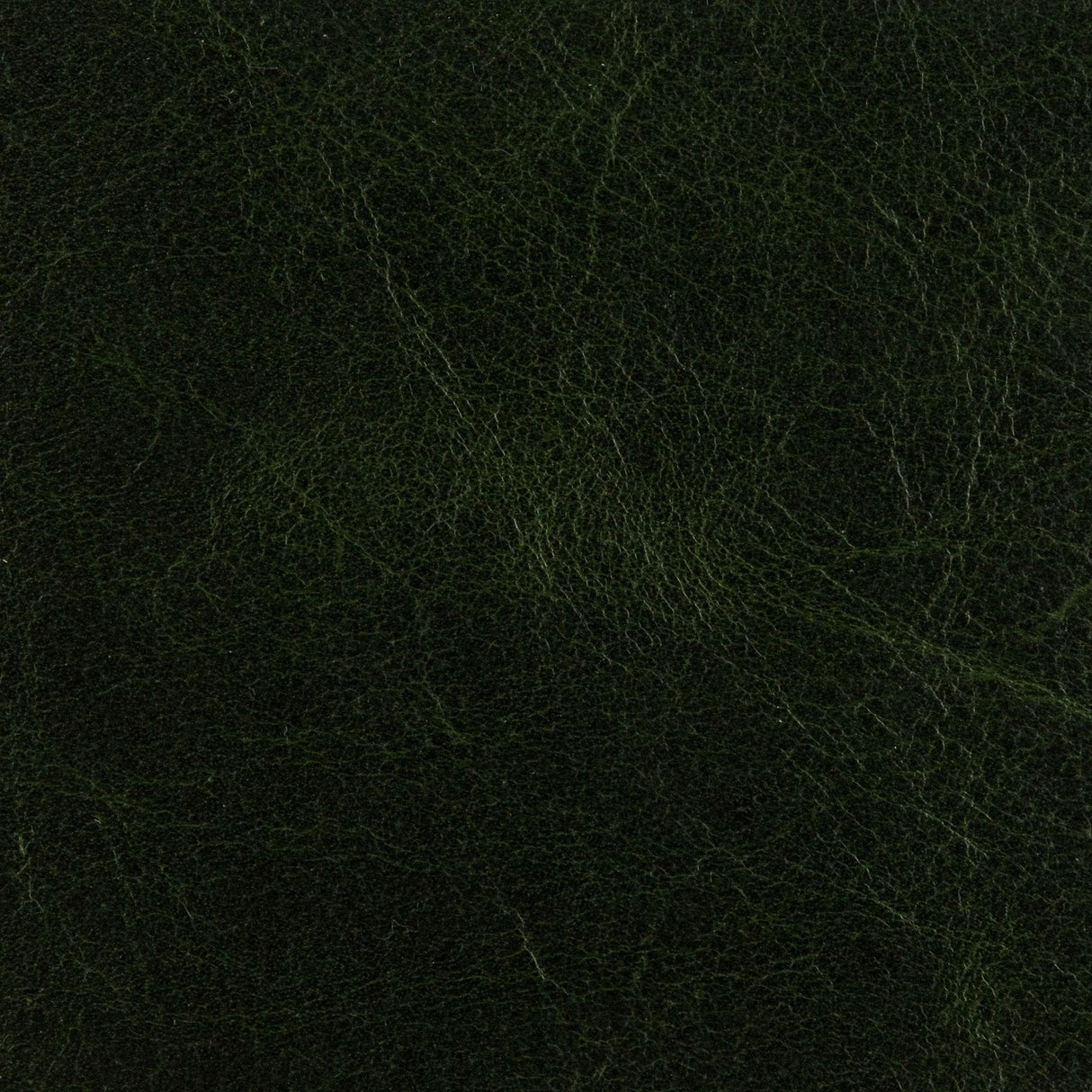 Kravet L-ARIZONA FOREST Upholstery Fabric