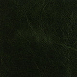 Kravet L-ARIZONA FOREST Upholstery Fabric